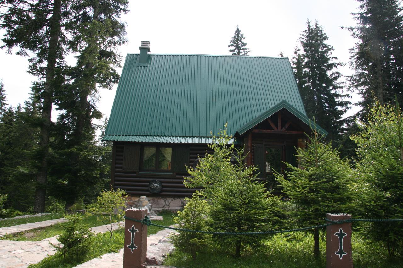 Durmitor Chalet Žabljak Exterior foto